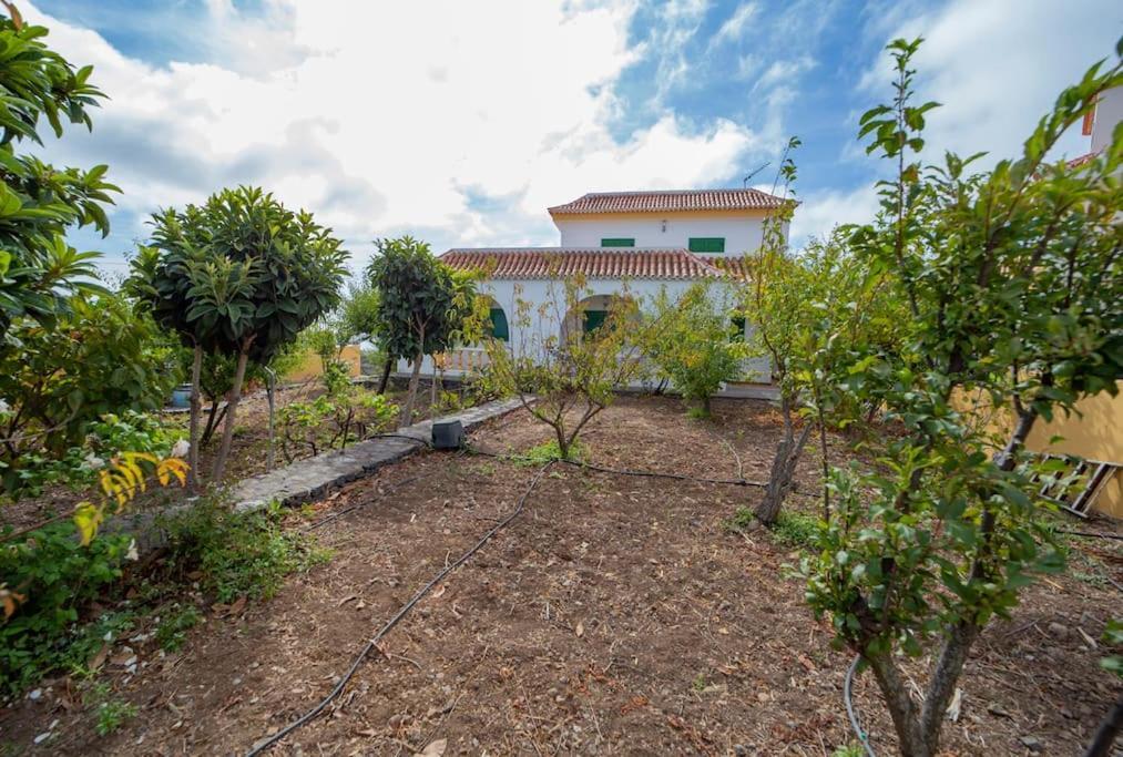 Villa Teram Alajeró Dış mekan fotoğraf